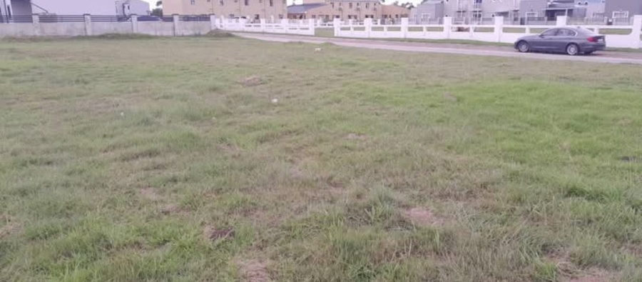 Commercial Property for Sale in Parsonsvlei Eastern Cape